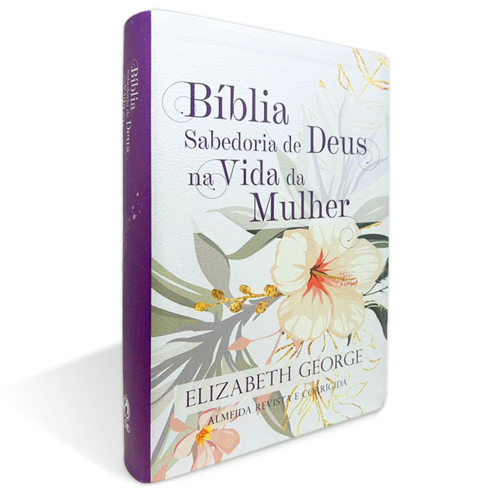 8 - Bíblia sabedoria de Deus na vida da mulher