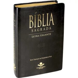 Bíblia sagrada letra gigante NTLH