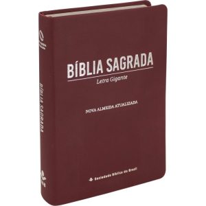 Bíblia sagrada vinho